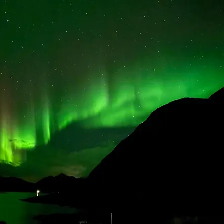 A Stone's Throw Away From Rorvikstranda, In Beautiful Lofoten! Feriehus Storoya